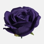 Dk. Violet (W005-27)