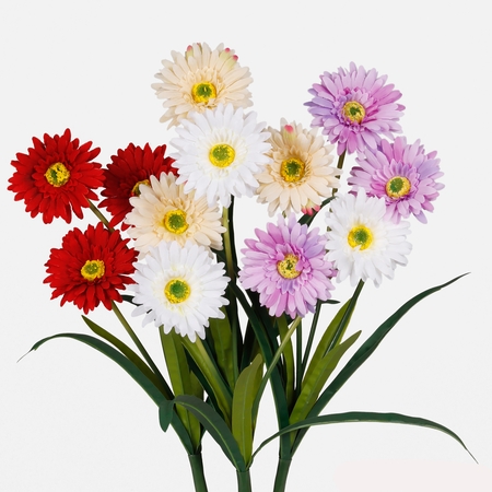 Gerbera x 3